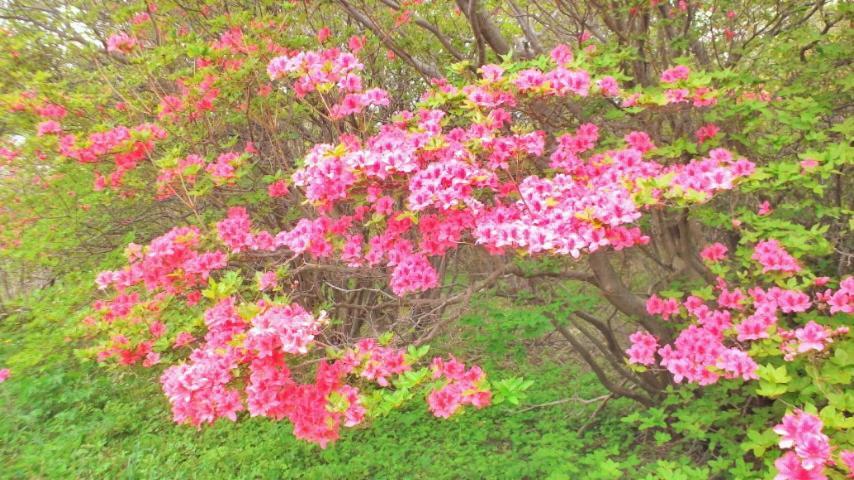 Kadoya Ryokan 那須塩原市 エクステリア 写真